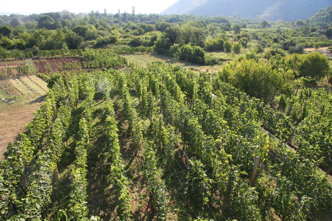 Vrzina Farm House Skadar Lake Virpazar Bagian luar foto