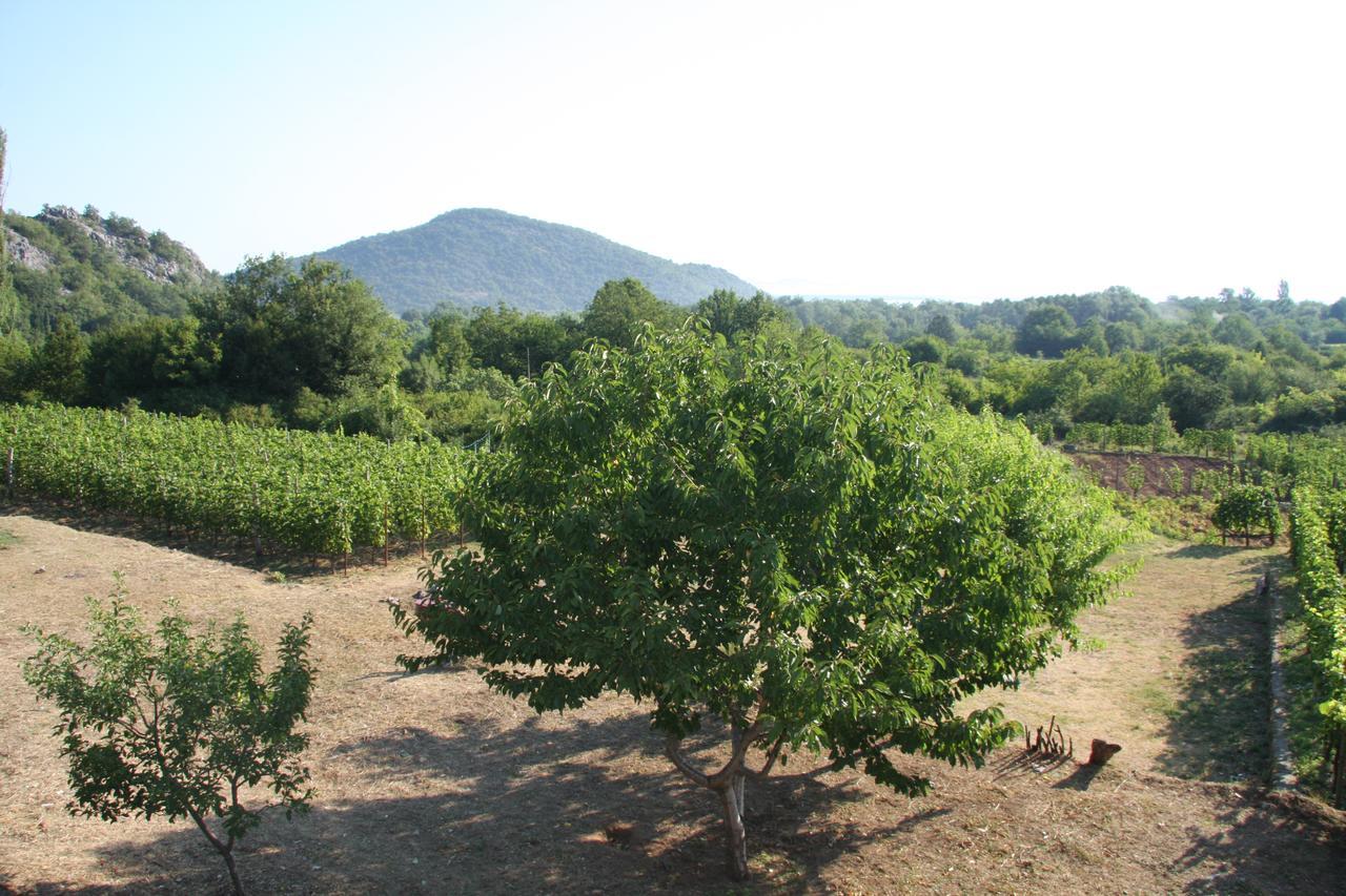 Vrzina Farm House Skadar Lake Virpazar Bagian luar foto