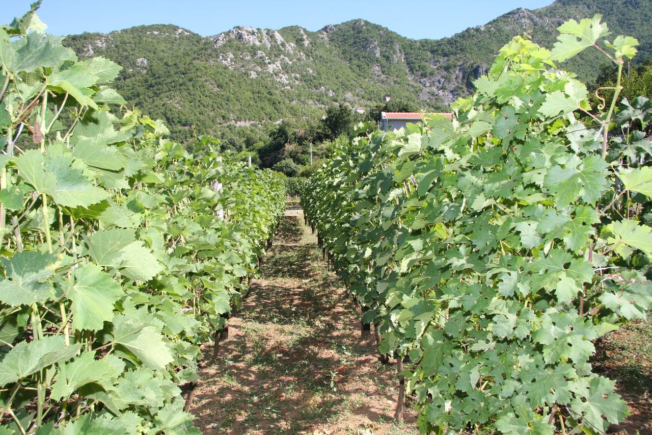 Vrzina Farm House Skadar Lake Virpazar Bagian luar foto