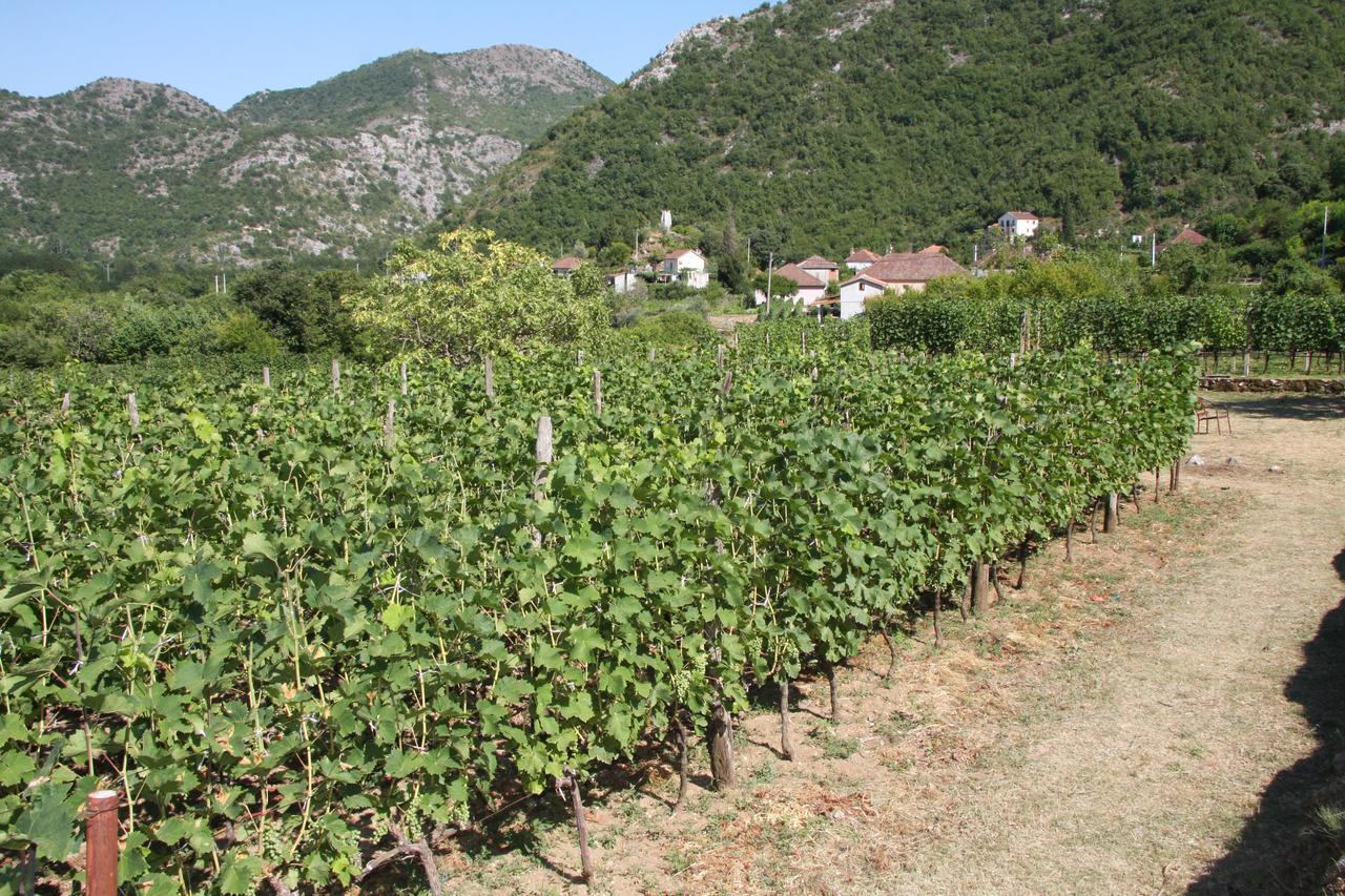 Vrzina Farm House Skadar Lake Virpazar Bagian luar foto