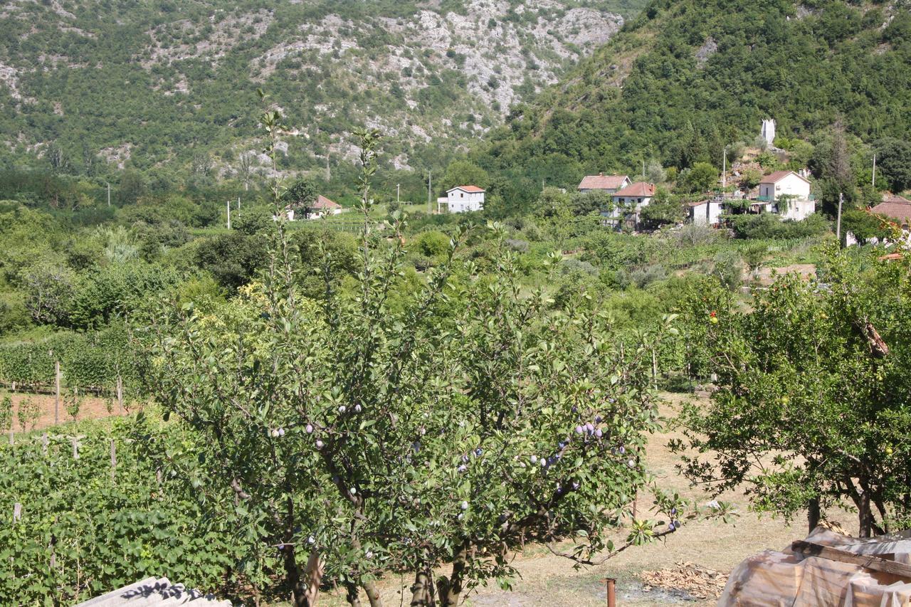 Vrzina Farm House Skadar Lake Virpazar Bagian luar foto