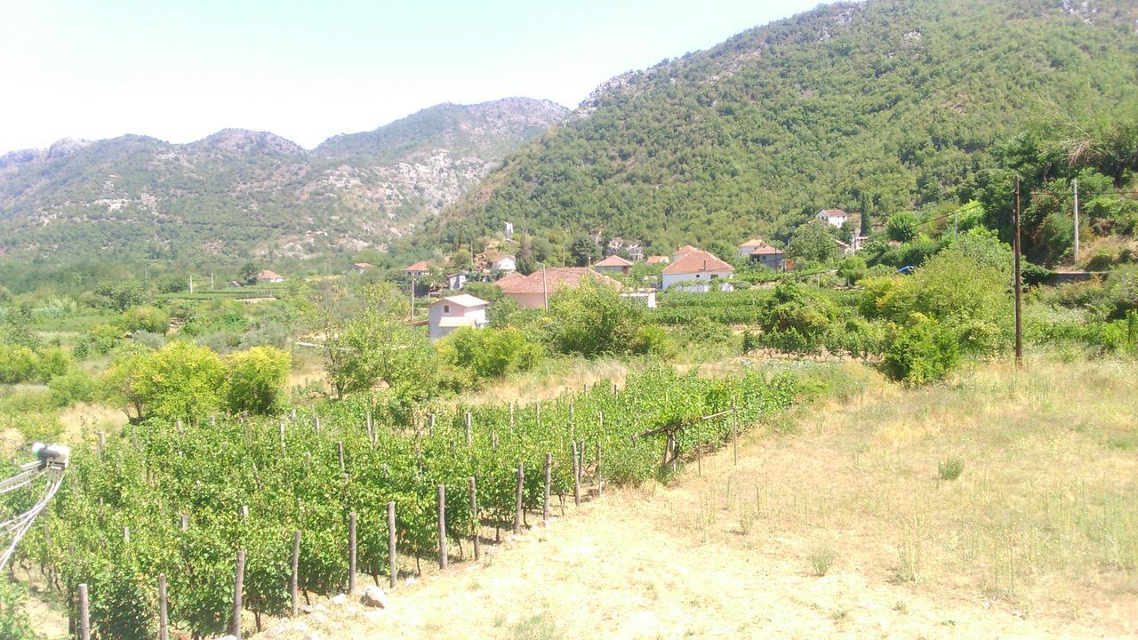 Vrzina Farm House Skadar Lake Virpazar Bagian luar foto